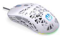Endorfy 19