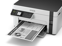Epson 4