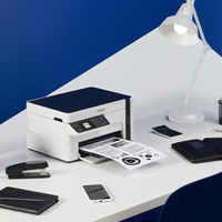 Epson 31