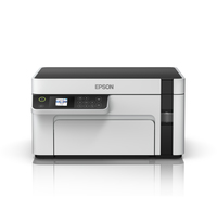 Epson 33