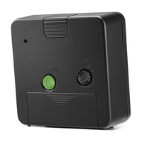Braun 11