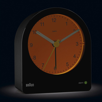Braun 1
