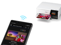 Epson 20
