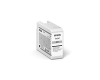 Epson 19