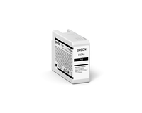 Epson 22