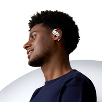 Shokz 13