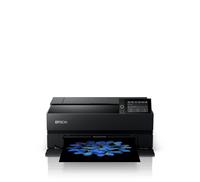 Epson 3