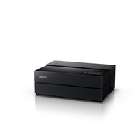Epson 11