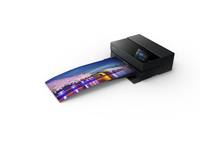 Epson 12