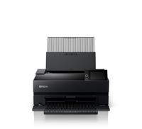 Epson 13