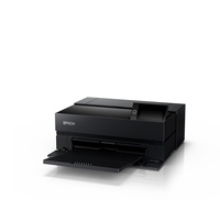 Epson 17