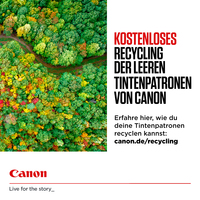 Canon 8