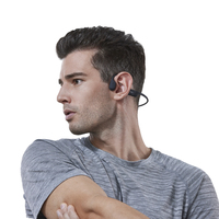 Shokz 13