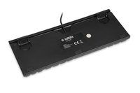 Ibox 13
