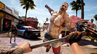 Deep Silver 6