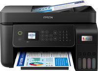 Epson 11