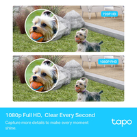 Tapo 3