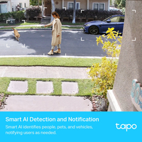 Tapo 4