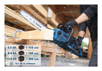 Bosch 11