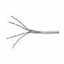 Wentronic - wentronic - Bulkkabel - 100,0m - FTP - CAT 5e - Grau (68708)