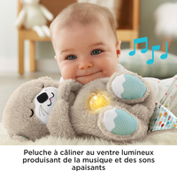 Fisher-price 2