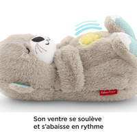 Fisher-price 16