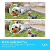 Tapo 2