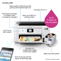 Epson 19