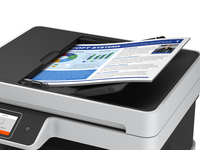 Epson 11