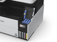 Epson 12