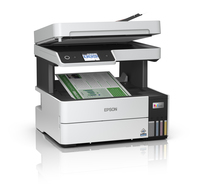Epson 6