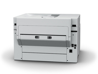Epson 11