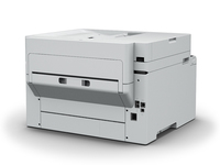 Epson 17
