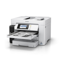Epson 25