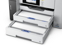 Epson 29