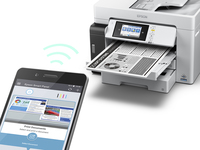 Epson 31