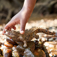 Schleich 6