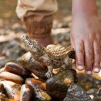 Schleich 8
