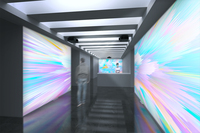 Epson 20