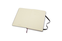 Moleskine 3