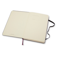 Moleskine 2