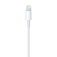 Apple 1