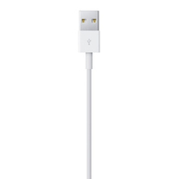 Apple 2