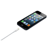 Apple 3