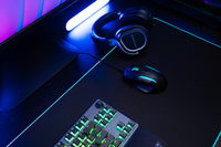 Turtle Beach 10
