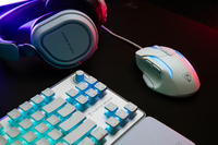 Turtle Beach 9