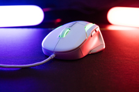 Turtle Beach 10