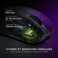 Turtle Beach 6