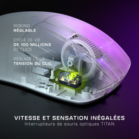 Turtle Beach 6
