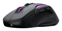 Turtle Beach 15